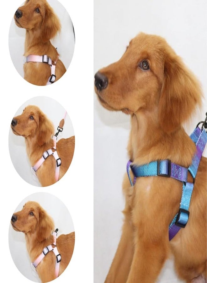 KittuPet حزام صدر للكلاب من KittuPet، بلون موحد متدرج الألوان، مناسب للتدريب والمشي، متوفر باللونين الأزرق المخضر والأخضر والأبيض، مقاس 15 مم، قطعة واحدة. - Image 5